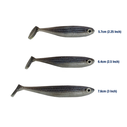 Sardina Fugitiva