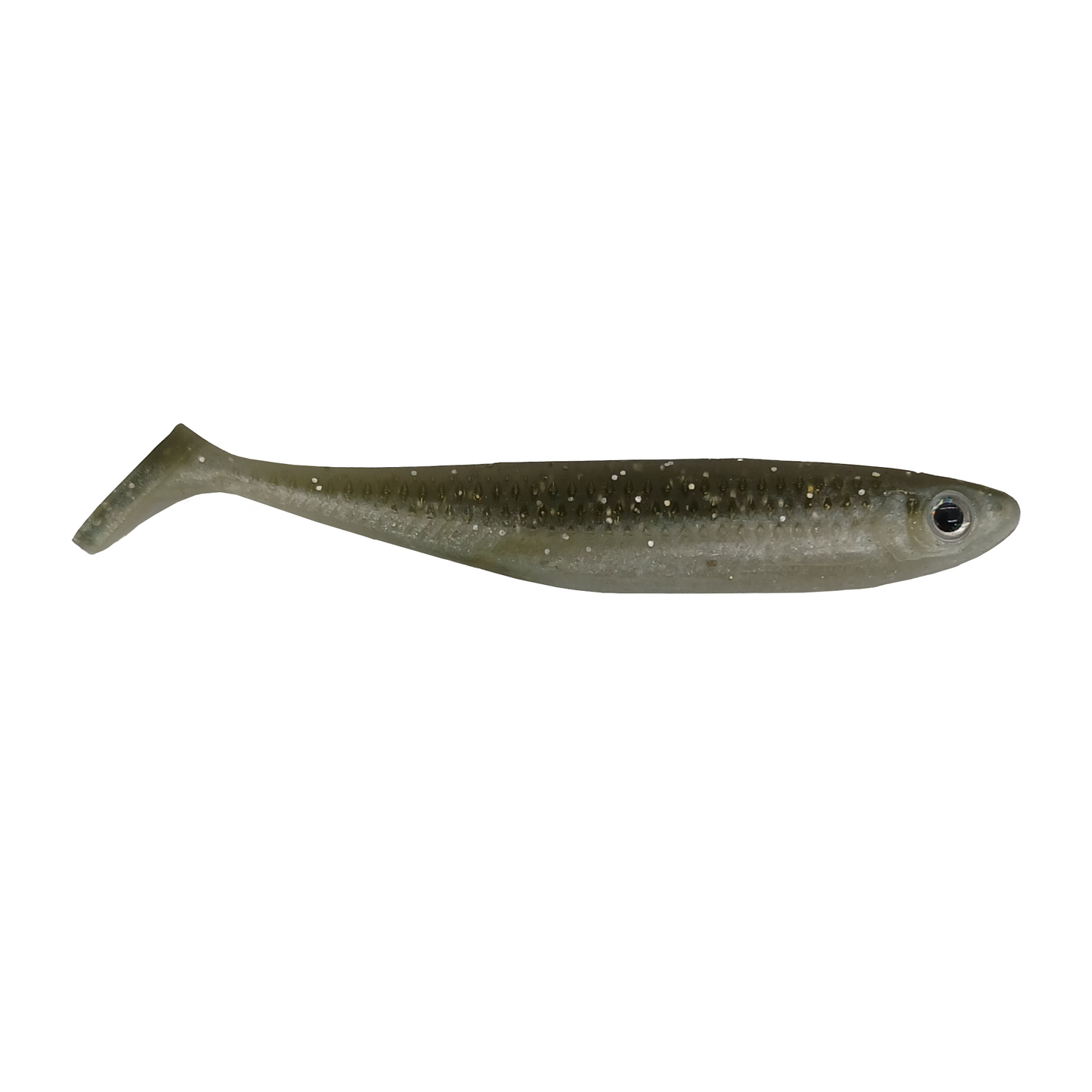 Sardina Fugitiva
