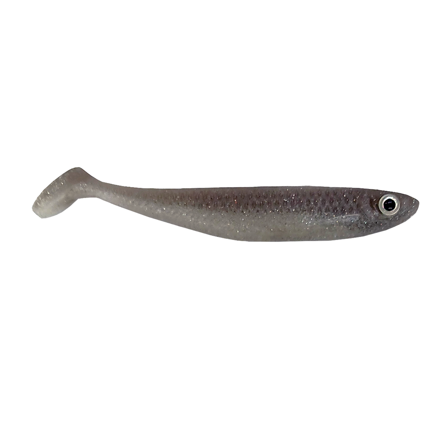 Sardina Fugitiva